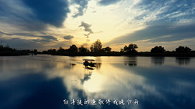 《種鄉(xiāng)愁》 趙澤昊